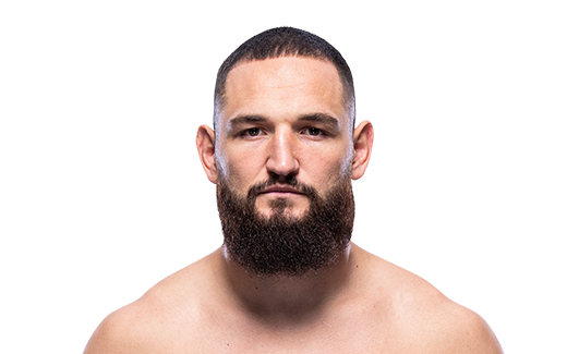 Nicolae Negumereanu Headshot