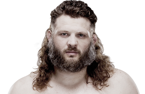 Roy Nelson Headshot