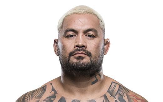 Mark Hunt Headshot